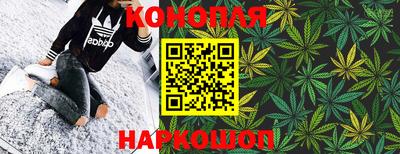 сатива Заводоуковск