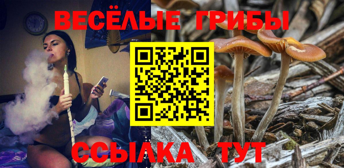 Междуреченск  Псилоцибиновые грибы Psilocybine cubensis  Псилоцибиновые грибы MAGIC MUSHROOMS  Вход с VPN 