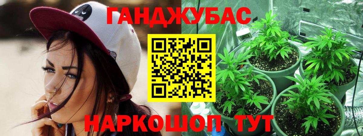 Бошки марихуана SATIVA & INDICA  Вход с VPN  Марихуана планчик  Междуреченск 